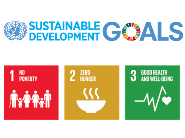 Sustainable Development Goals 1 To 3 Poverty Hunger And Health Grantstation 4578